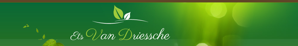 ETS Van Driessche